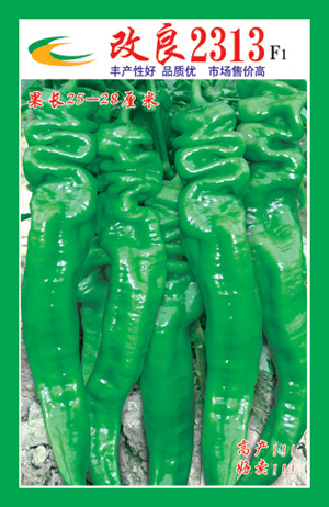 改良2313