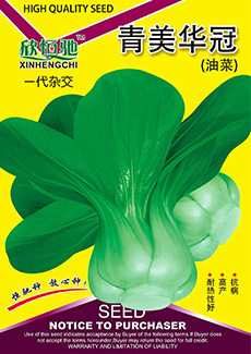 青美华冠