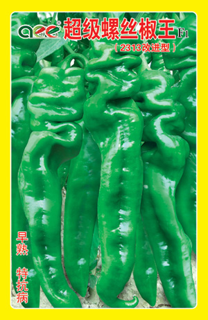 超级螺丝椒王