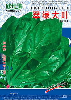 翠绿大叶