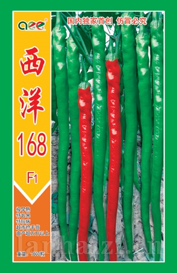 西洋168
