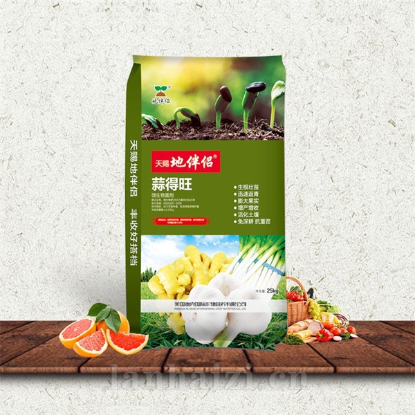 地伴侣葱得旺