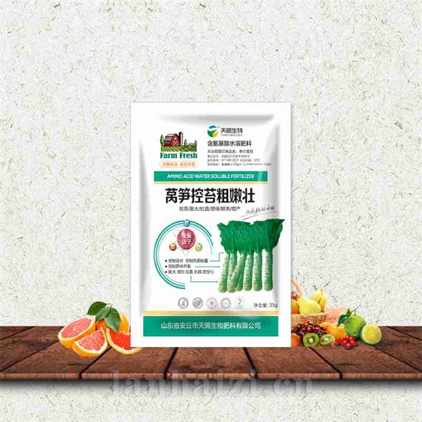 莴笋控苔粗嫩壮
