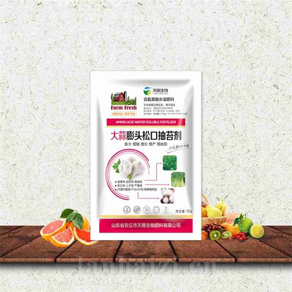大蒜膨头松口抽苔剂