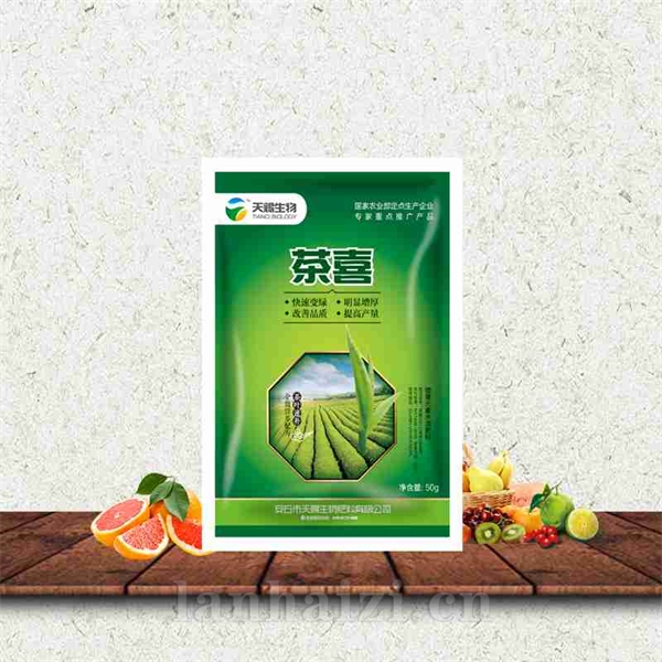 茶喜