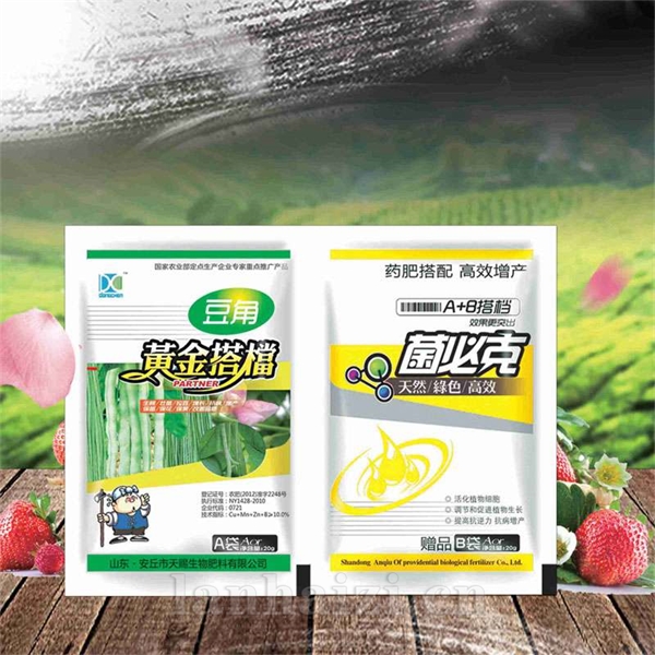 豆角黄金搭档