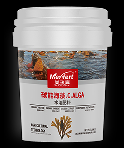 碳能海藻有机水溶肥