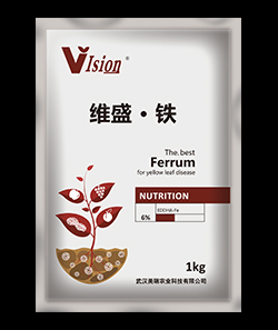 维盛·铁