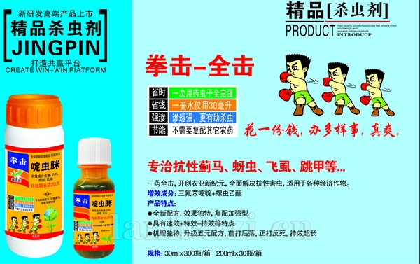 拳击—全击