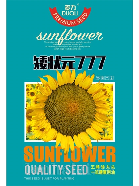 矮状元777