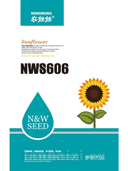 NWS606