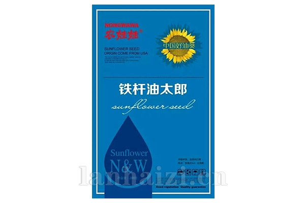 油葵品种【铁杆油太郎】