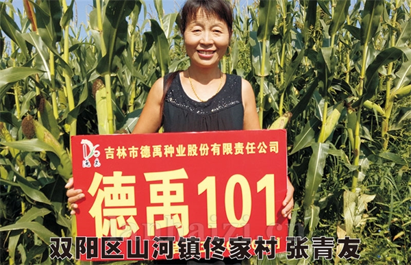 德禹101