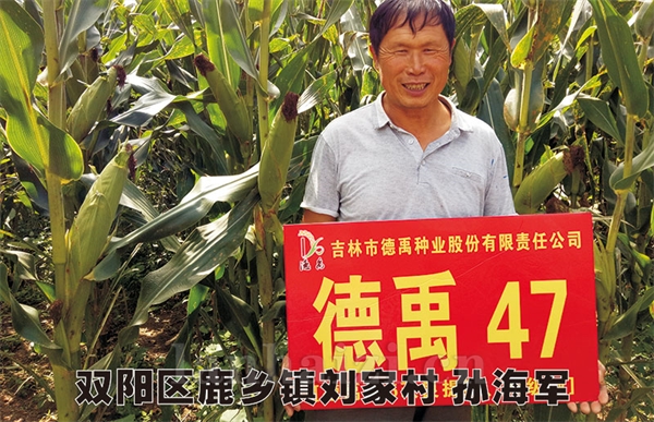 德禹47