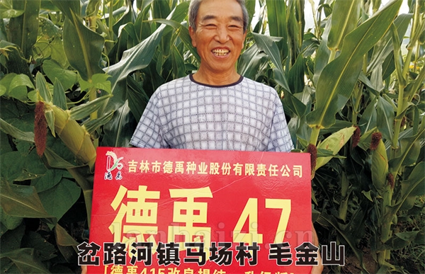 德禹4