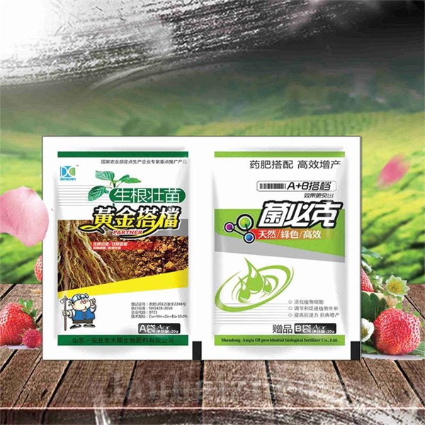 生根壮苗黄金搭档