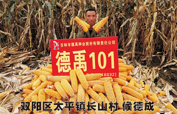 德禹101