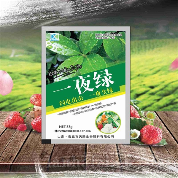 一夜绿