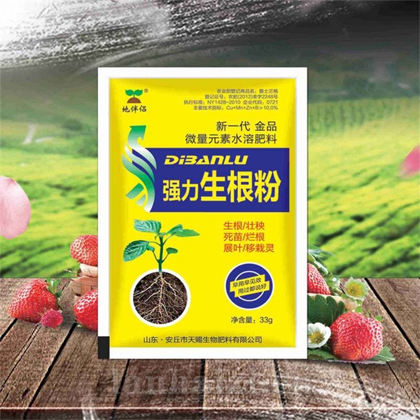地伴侣强力生根粉