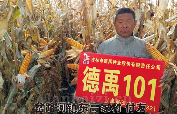 德禹101