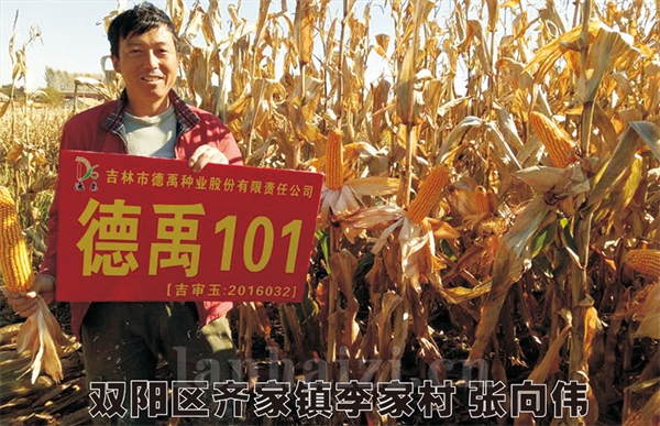 德禹101