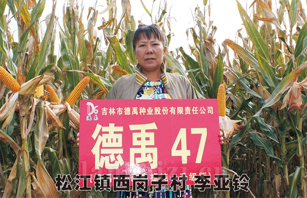 德禹101