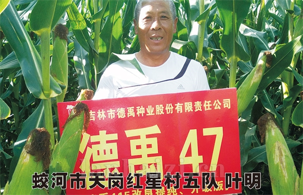 德禹101
