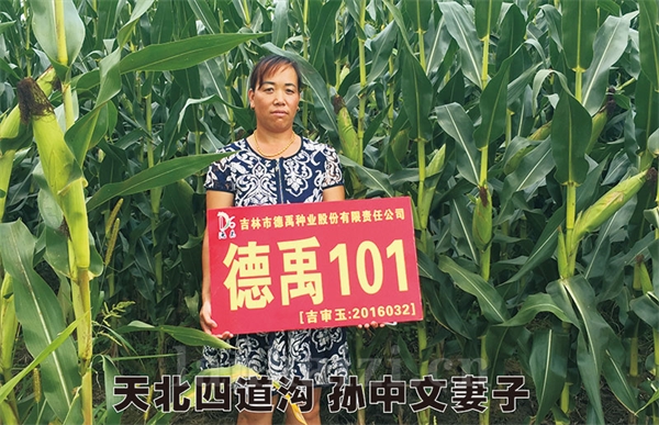 德禹101