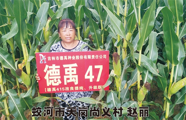 德禹47