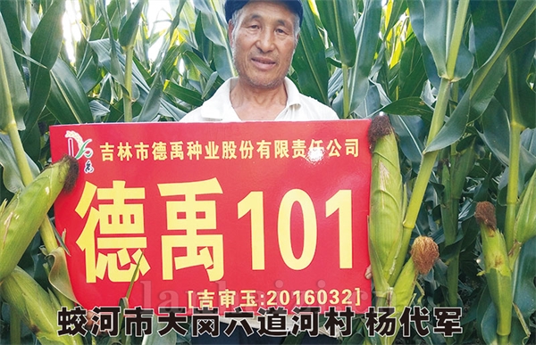 德禹101