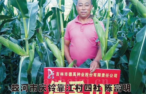 德禹101