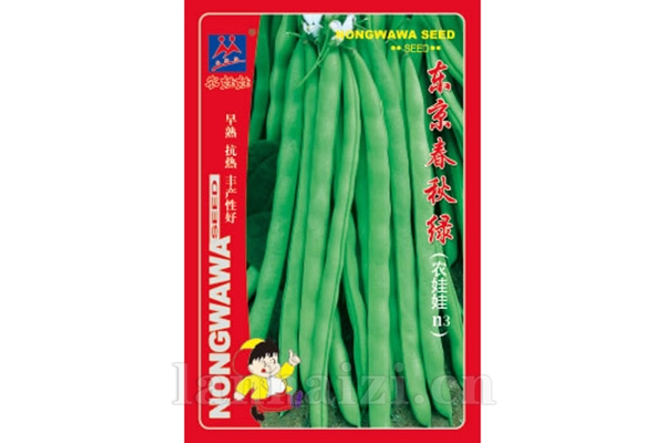 架豆【春秋东京绿
