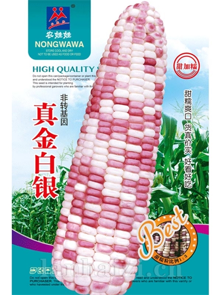真金白银