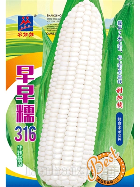 早早糯316