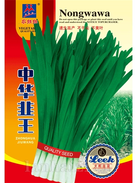 中华韭王