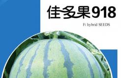 佳多果918