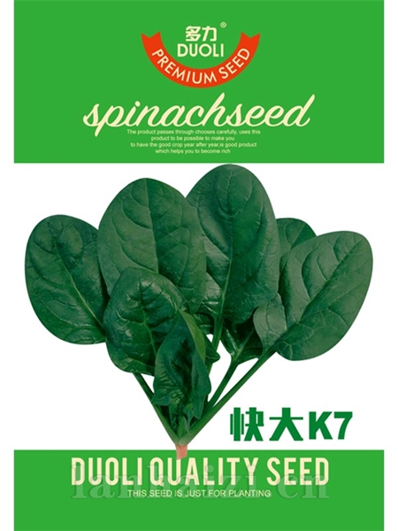 快大K7