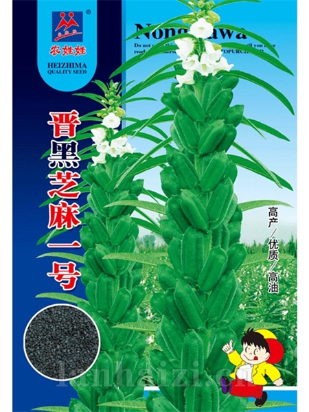 晋黑芝麻一号