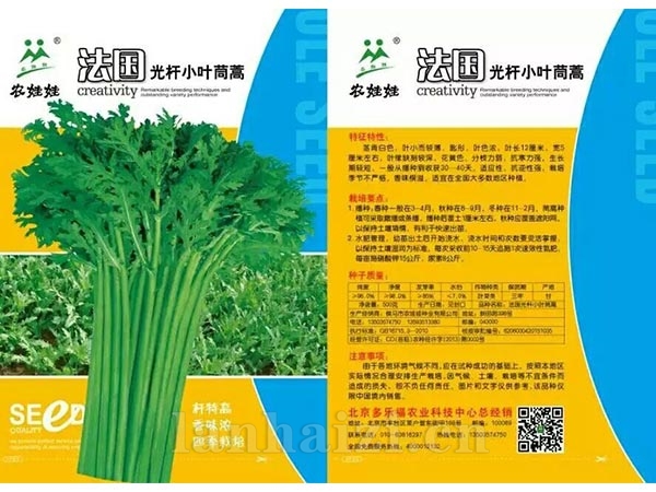 小叶茼蒿