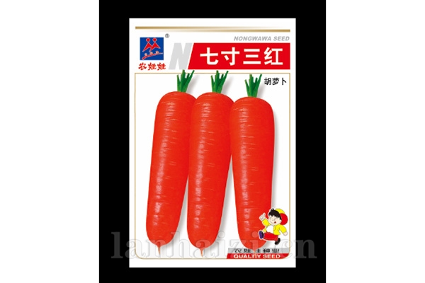 根茎类【七寸三红】