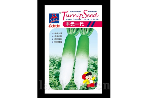 根茎类【丰光一代】