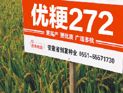 优粳272