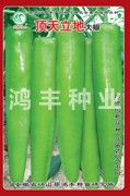 顶天立地——尖椒种子