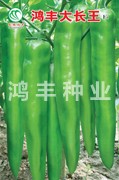 鸿丰大长王——尖椒种子