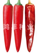 鸿丰红帅——尖椒种子
