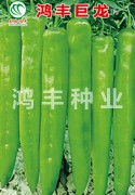 鸿丰巨龙——尖椒种子