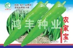 农家宝——尖椒种子