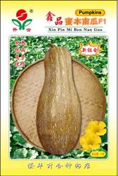 鑫品蜜本南瓜——南瓜种子