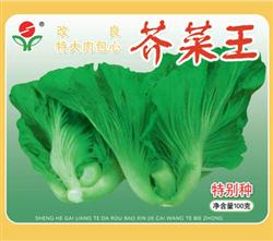 芥菜王——芥菜种子