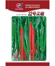 22号尖椒